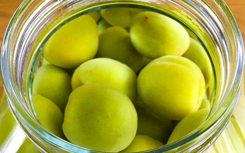 Home-made umeshu