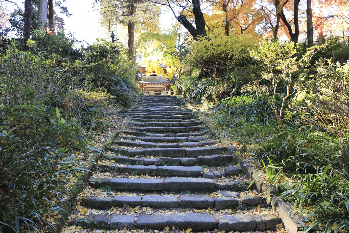 初秋の北鎌倉・浄智寺の入り口の階段