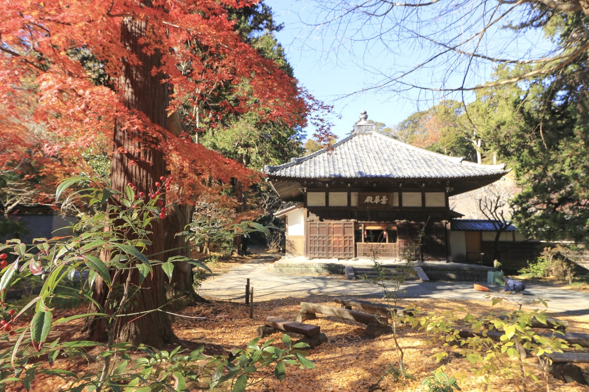 紅葉の北鎌倉の浄智寺