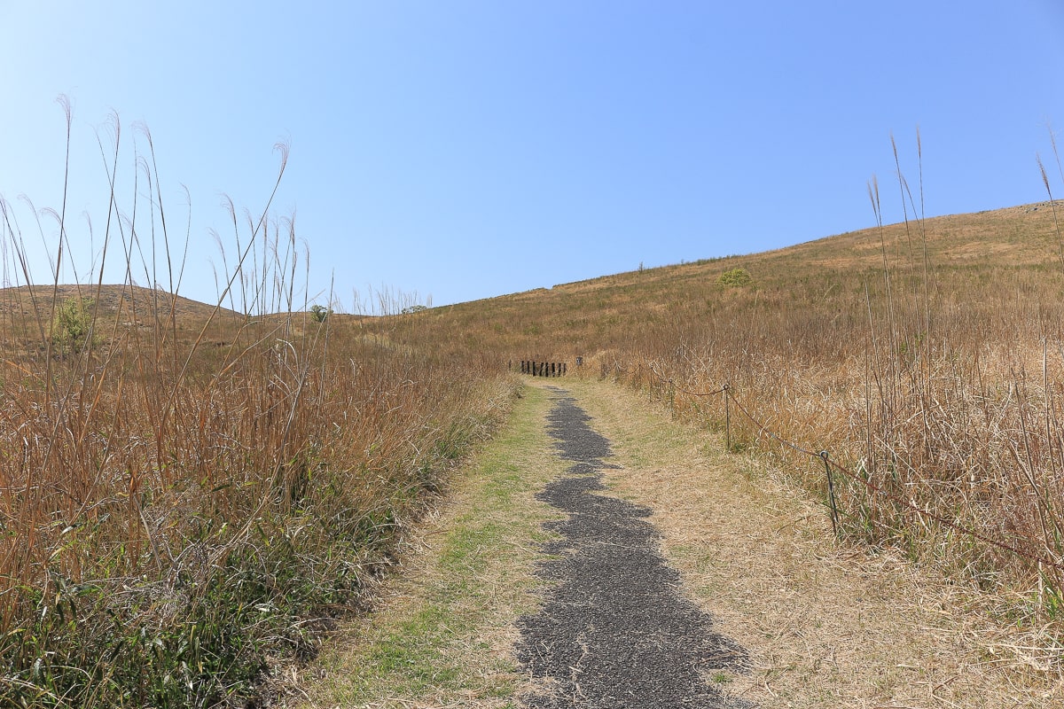 Yamaguchi-Akiyoshidai-Trekking