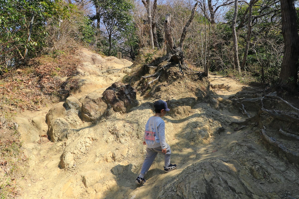 神奈川横須賀の鷹取山ハイキングコース・岩が増えてくる場所