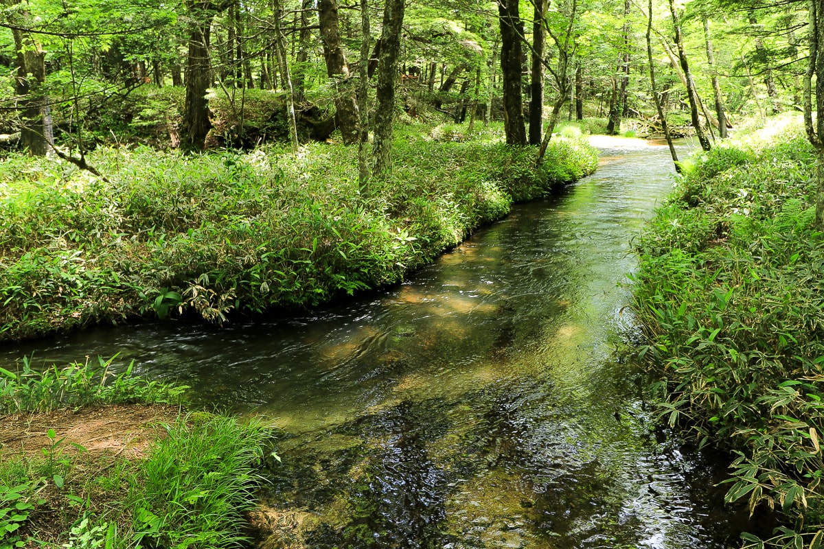 栃木県・奥日光・戦場ヶ原・渓流