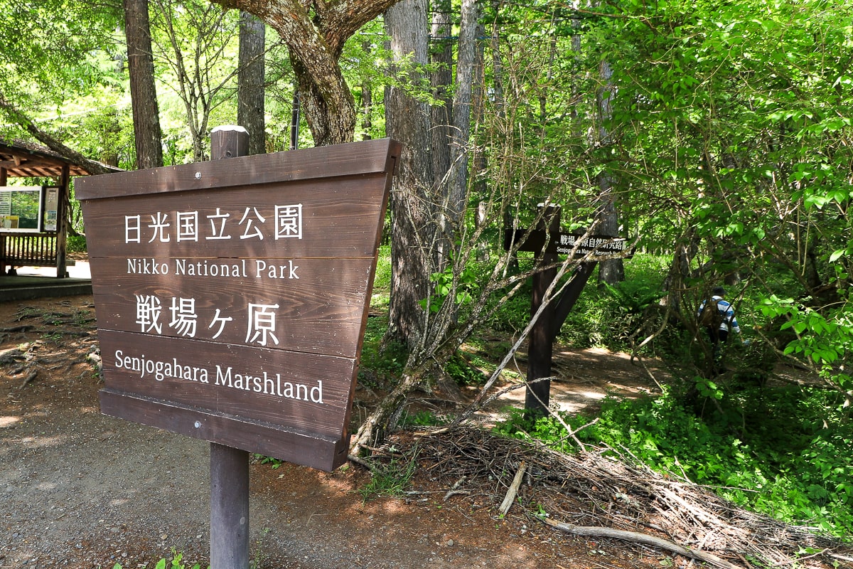 栃木県・奥日光・戦場ヶ原・コース入り口