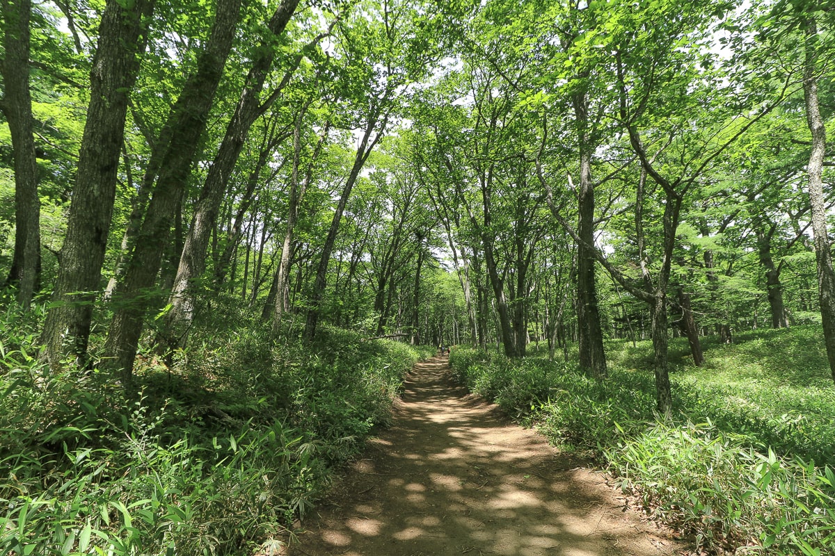 栃木県・奥日光・戦場ヶ原