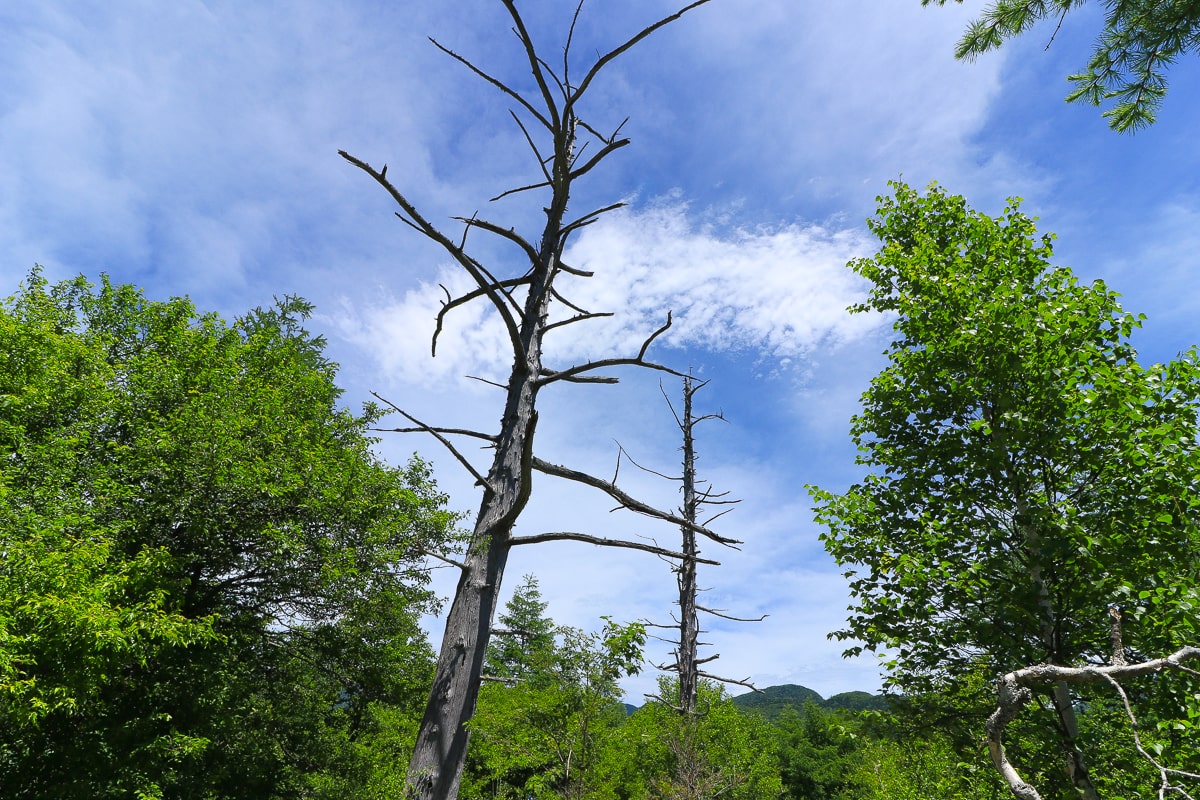 Japan_Tochigi_Okunikko_Trekking