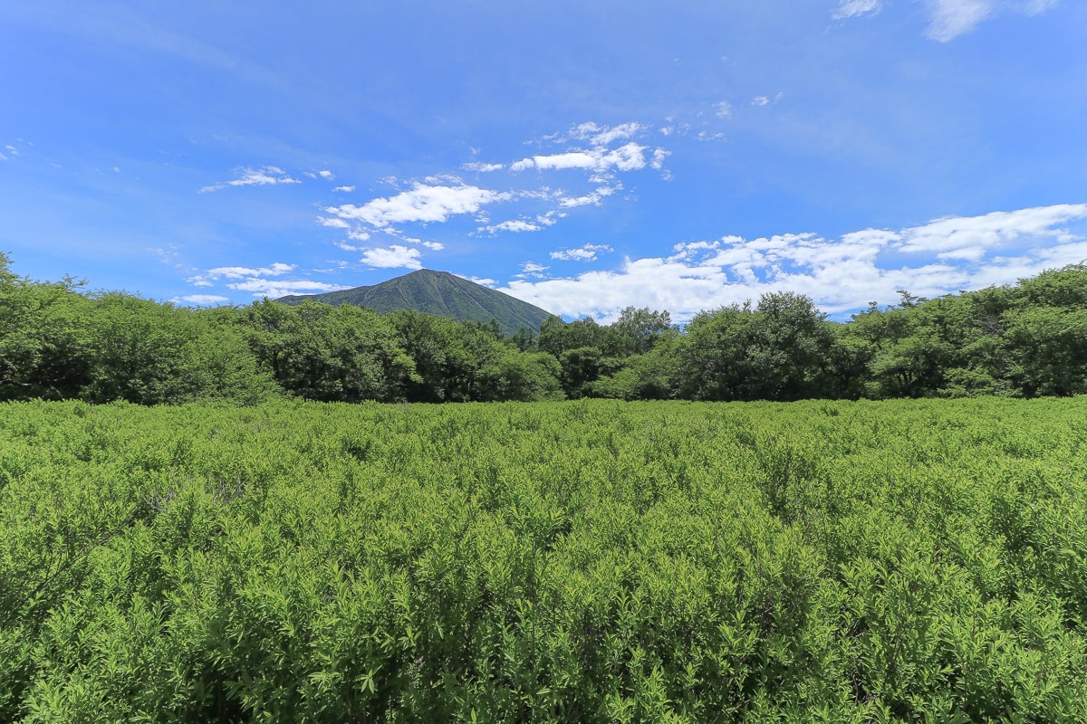 栃木県・奥日光・戦場ヶ原・男体山