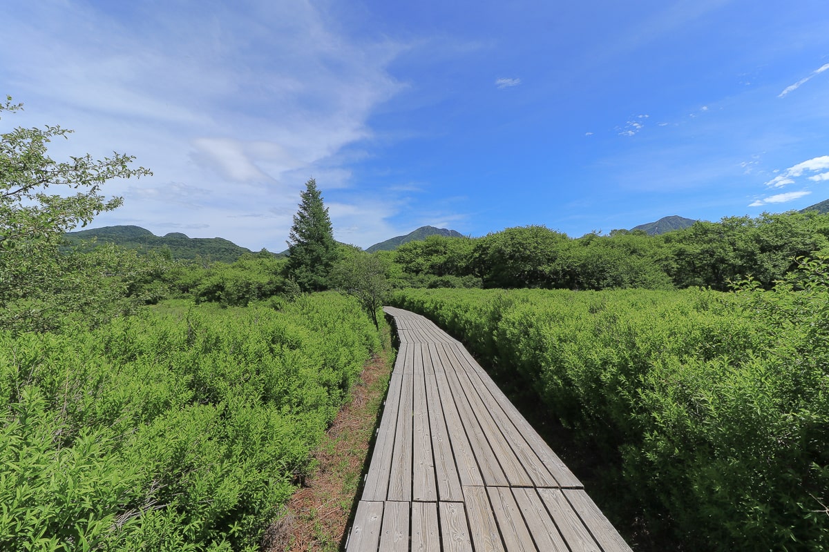 Japan_Tochigi_Oku-Nikko_Senjogahara_Trail