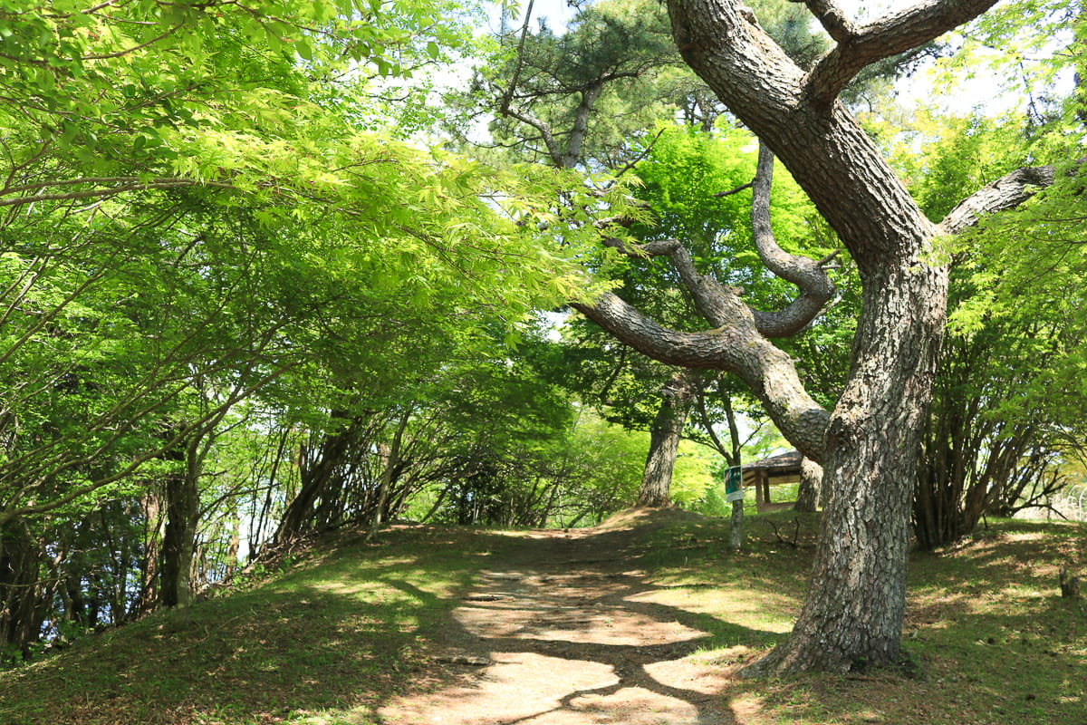 神奈川 矢倉岳 万葉公園