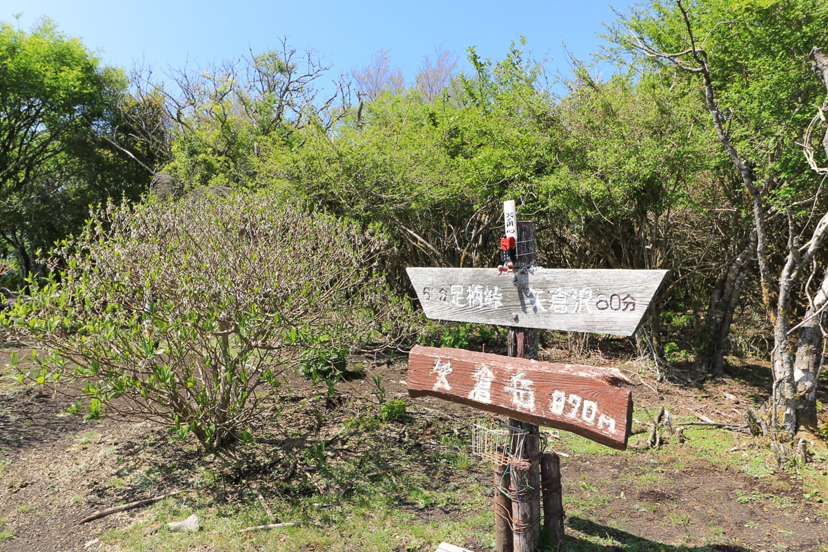 矢倉岳頂上
