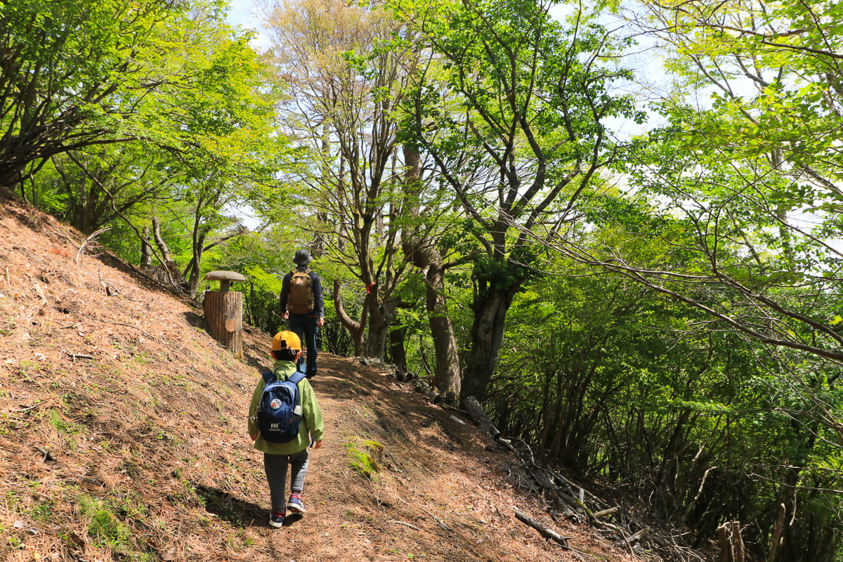 矢倉岳 足柄峠付近