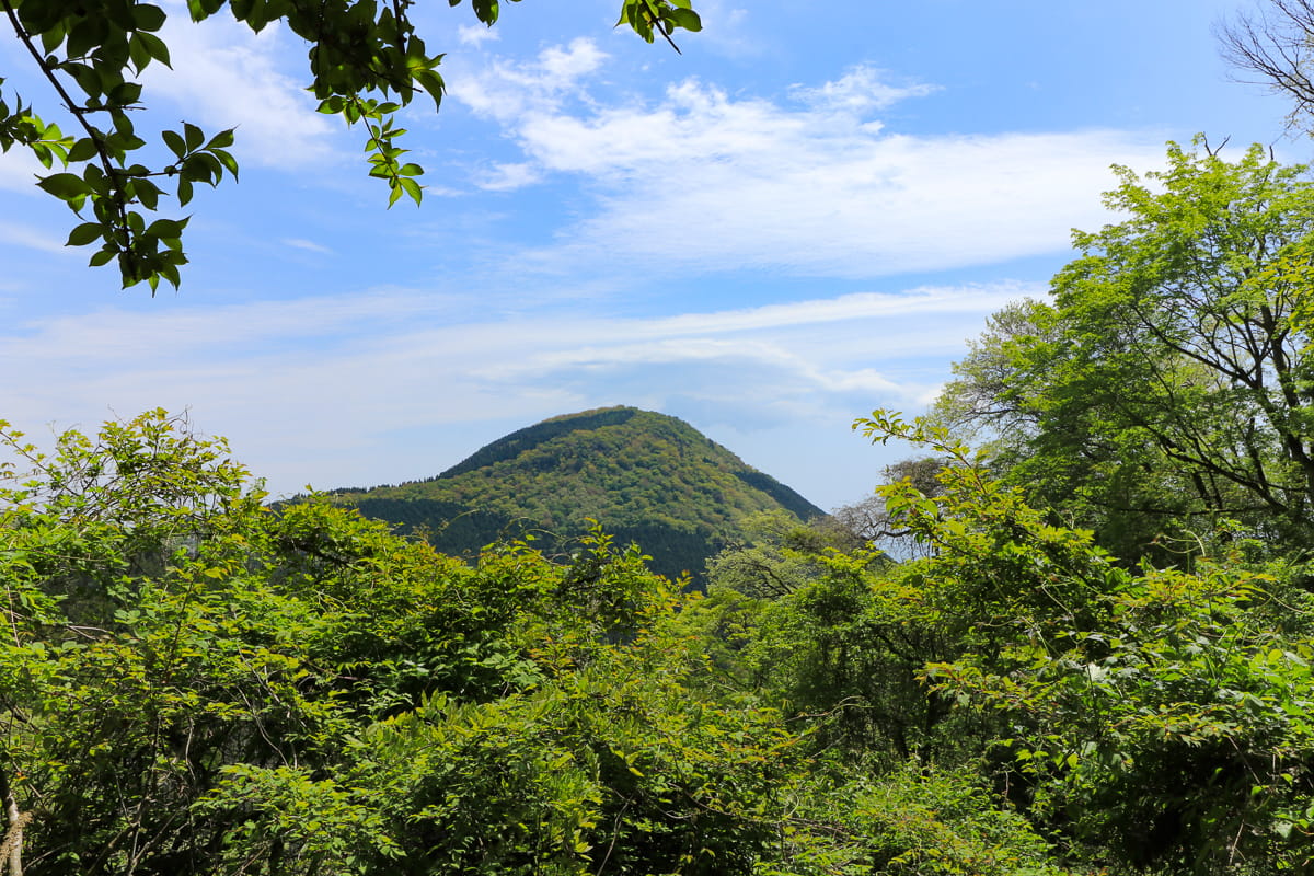 トレイルから見える矢倉岳山頂