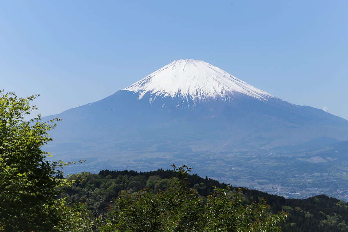 矢倉岳の頂上付近から見る富士山 